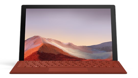 南开乡清洁和维护 Surface